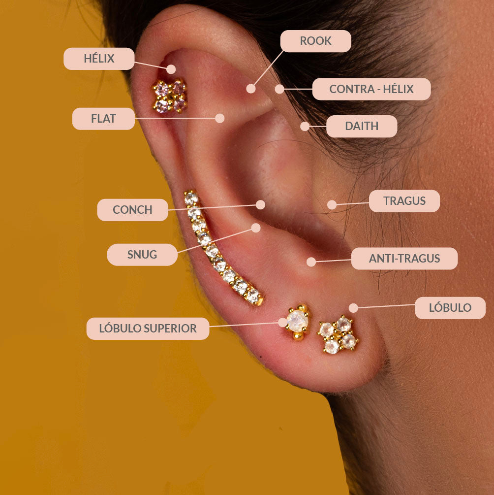 Piercing de la oreja: la guía completa [nombre, curación, joyas, ]