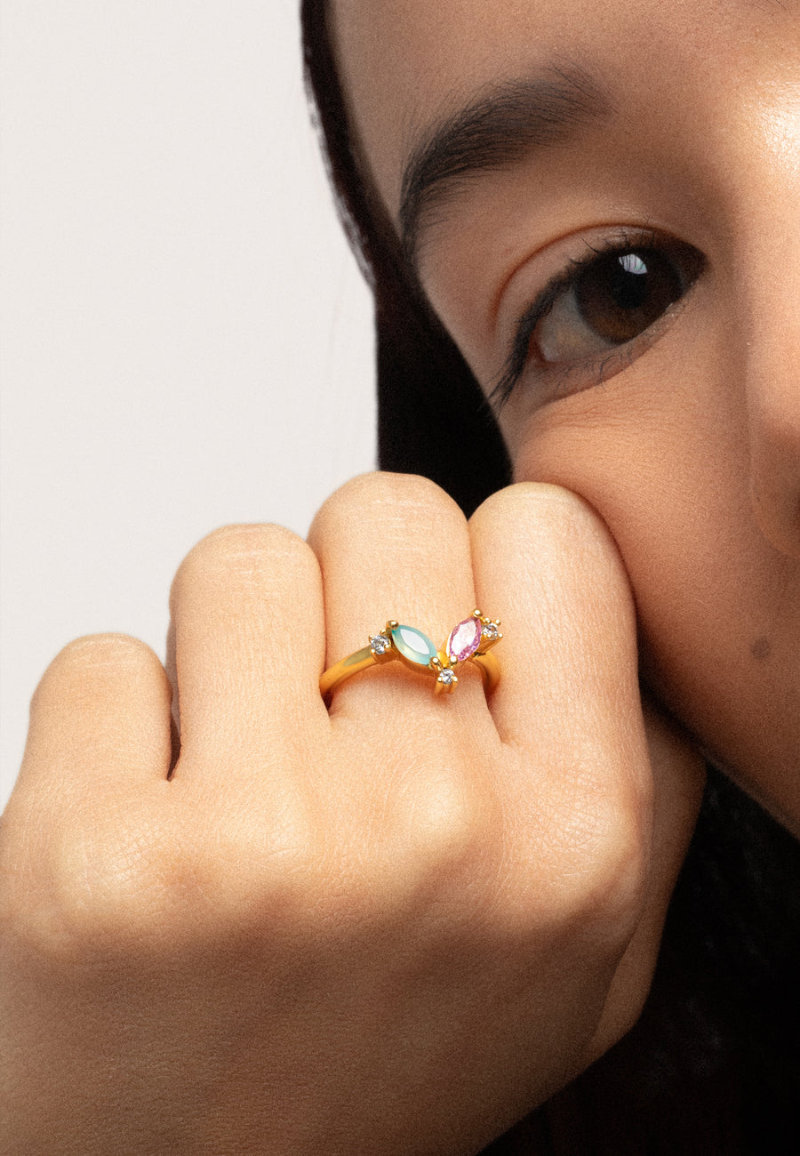 Anillo Denali