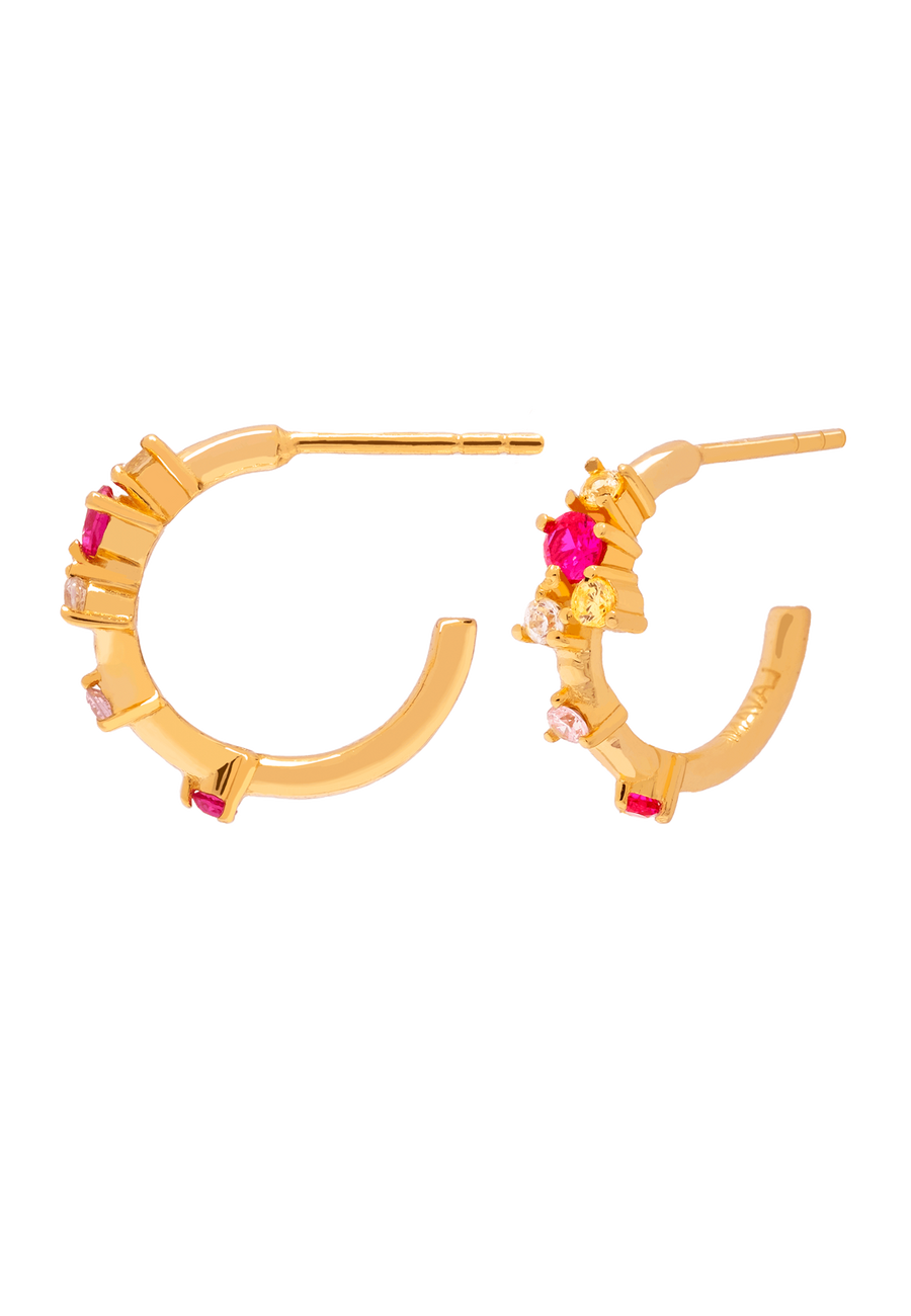 Aros Orchid