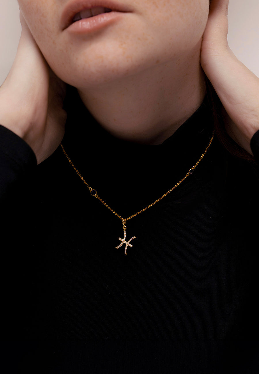Vissen Dierenriem Ketting