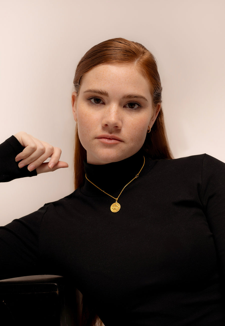 Vissen Dierenriem Ketting