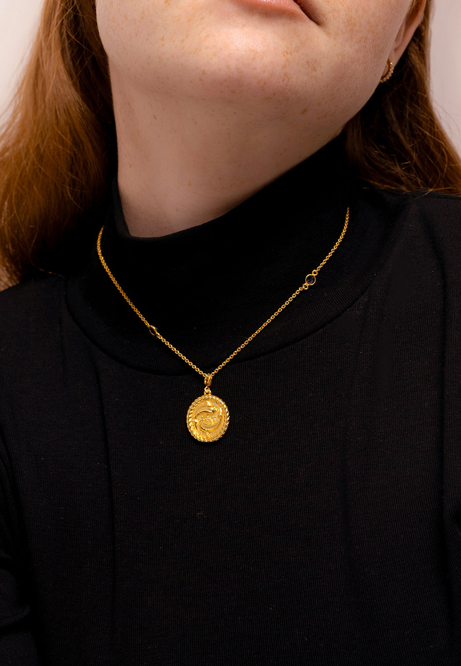Vissen Dierenriem Ketting