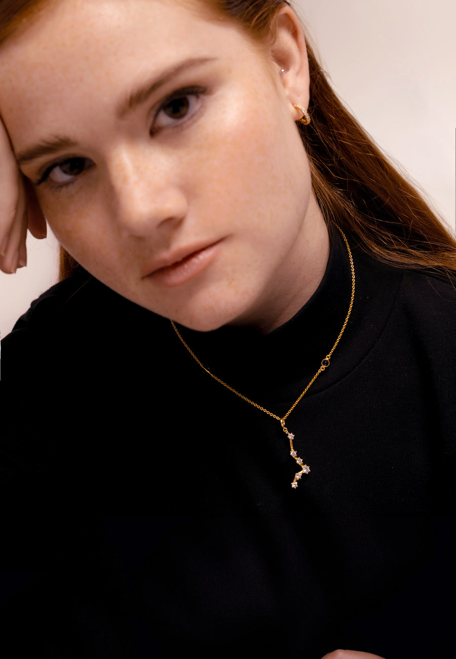 Vissen Dierenriem Ketting