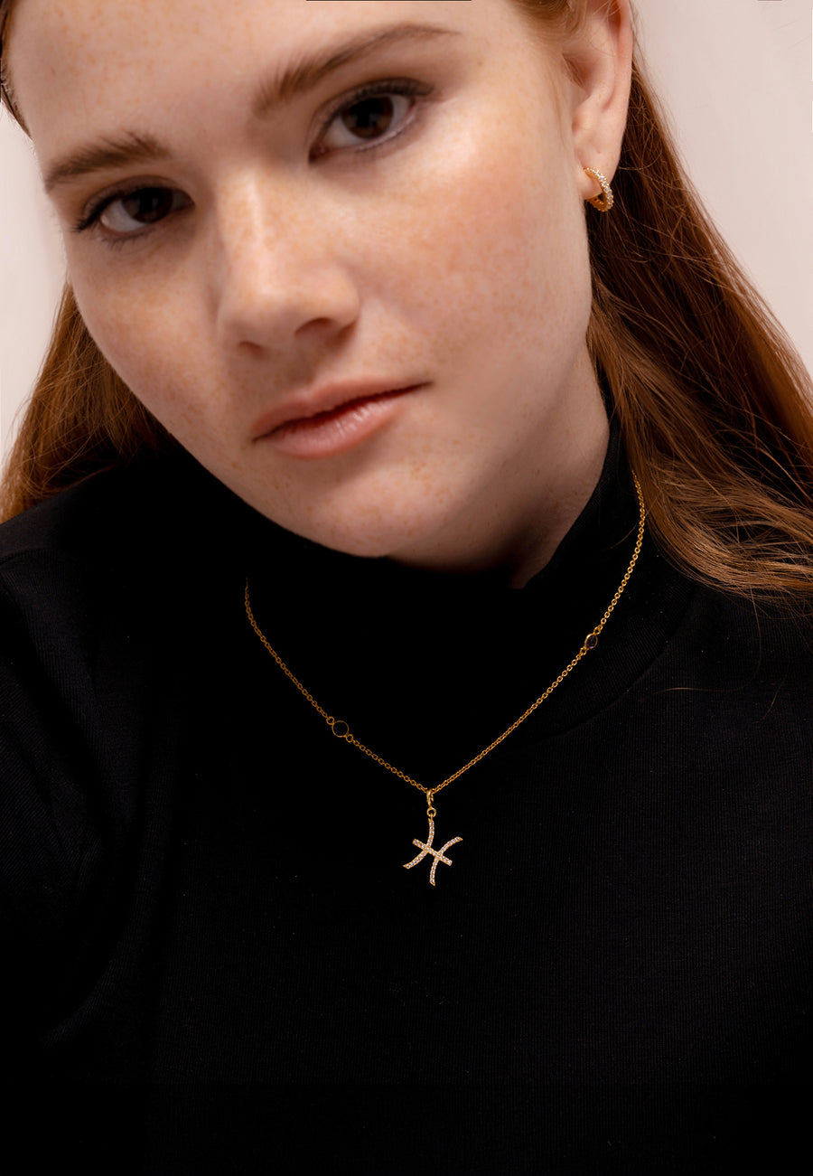 Vissen Dierenriem Ketting