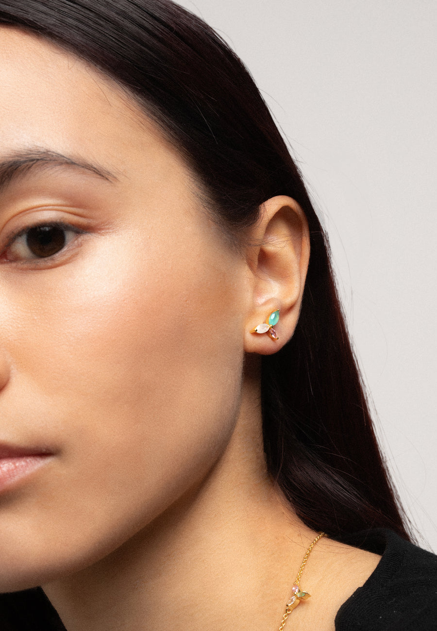 Pendientes Denali