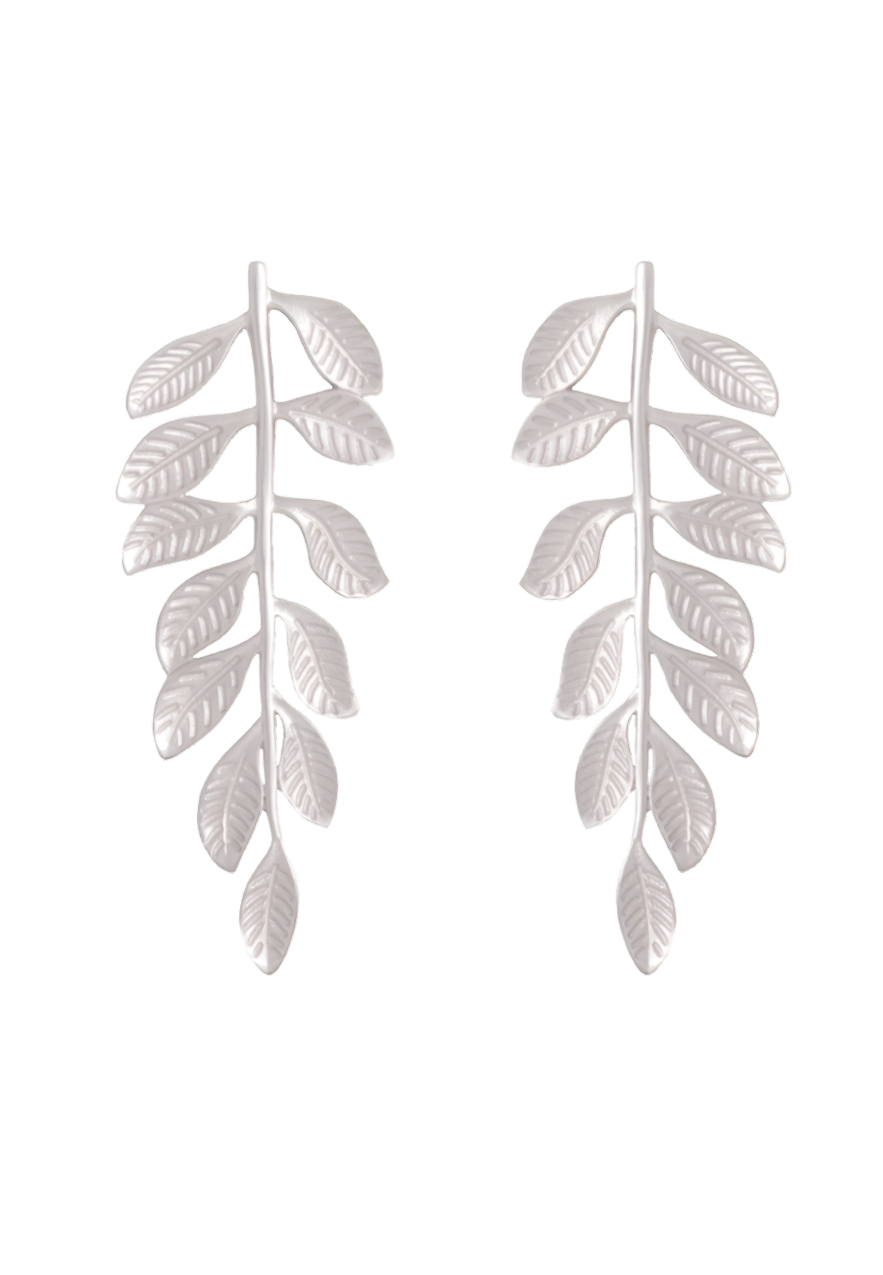 Agrandir