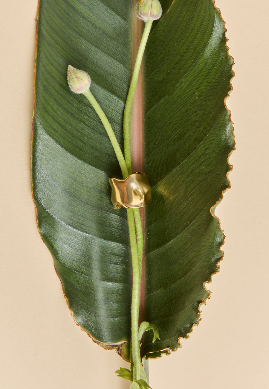 Anillo dorado grande y ancho con textura orgánica sobre hoja verde. Joya dorada con diseño escultural y elegante.
