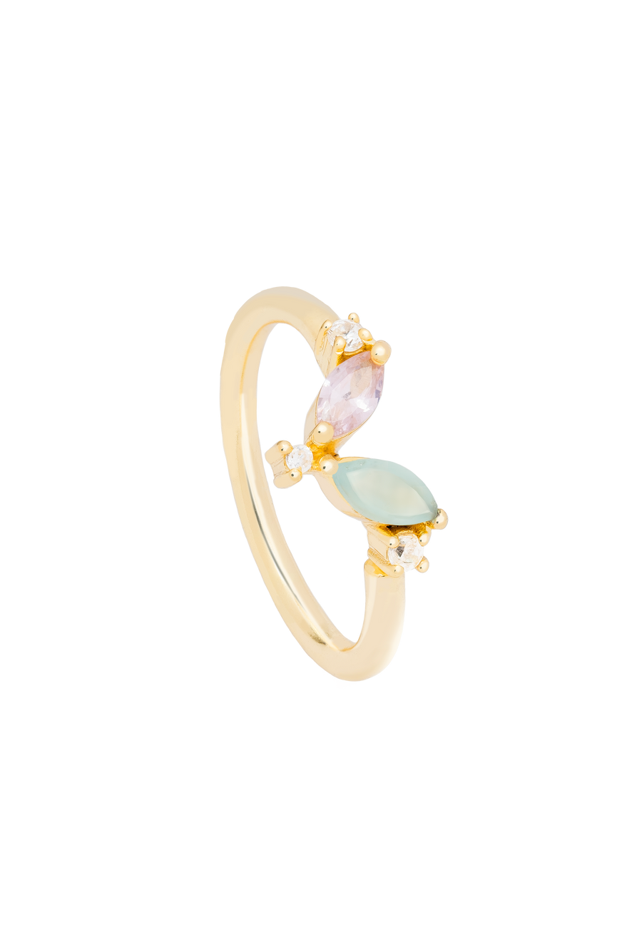 Anillo Denali