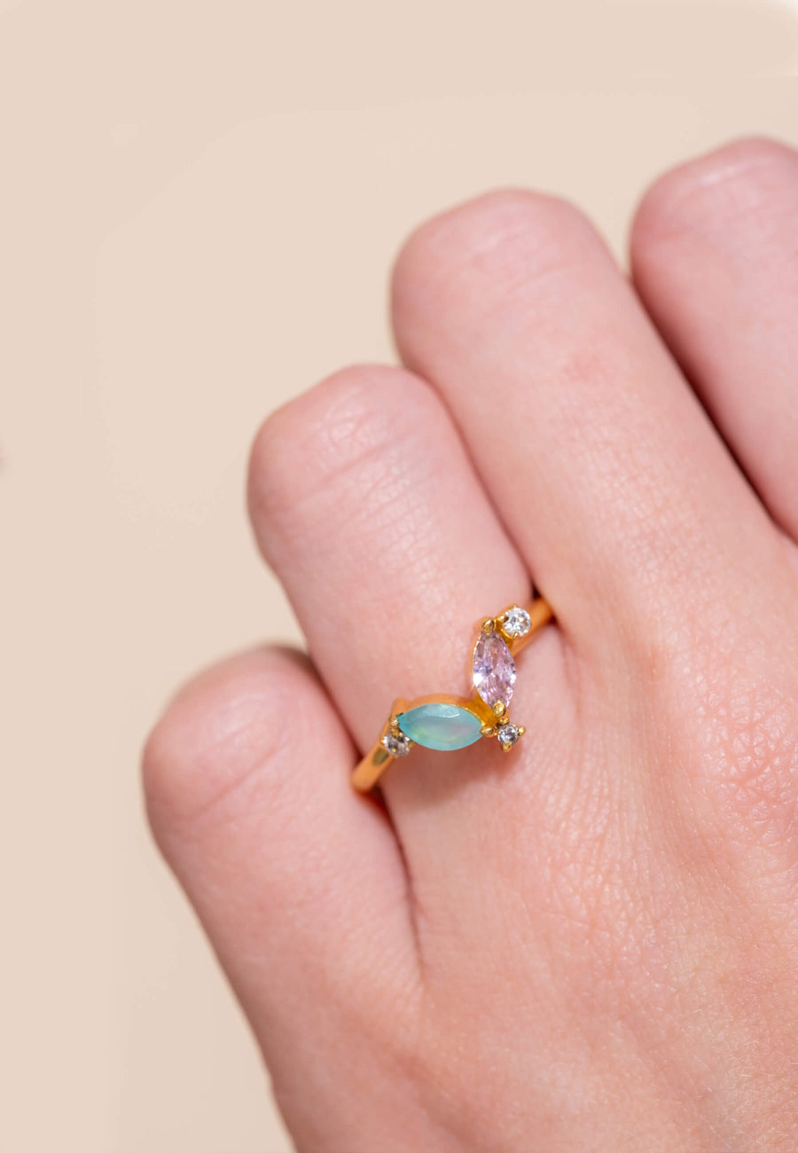 Anillo Denali