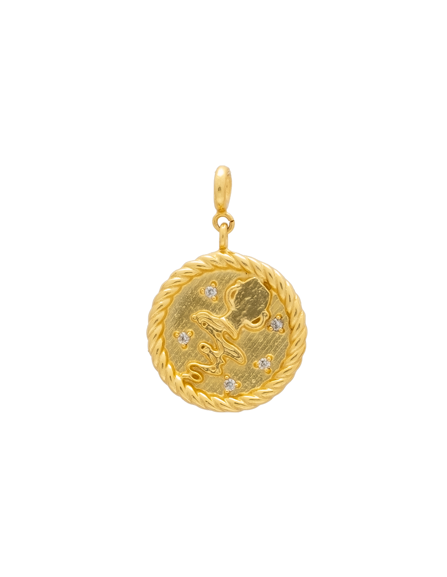 Charm Zodiaco Acuario intercambiables dorados
