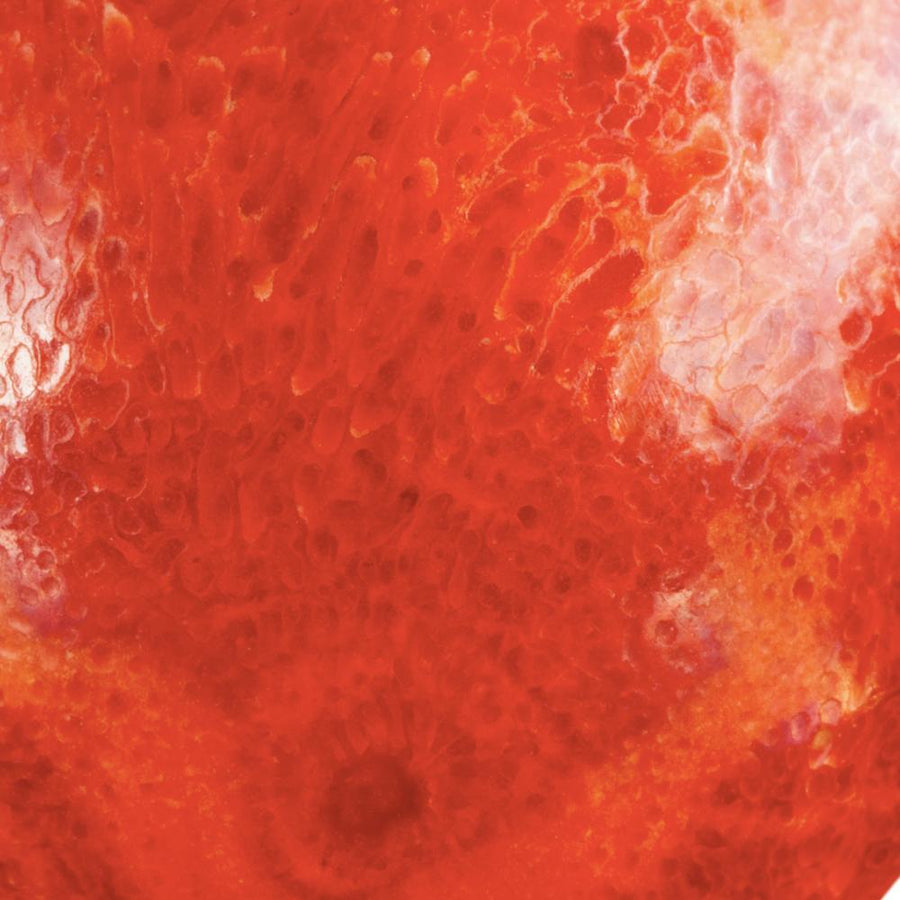 Piedra Coral para distintos Pendientes Lavani