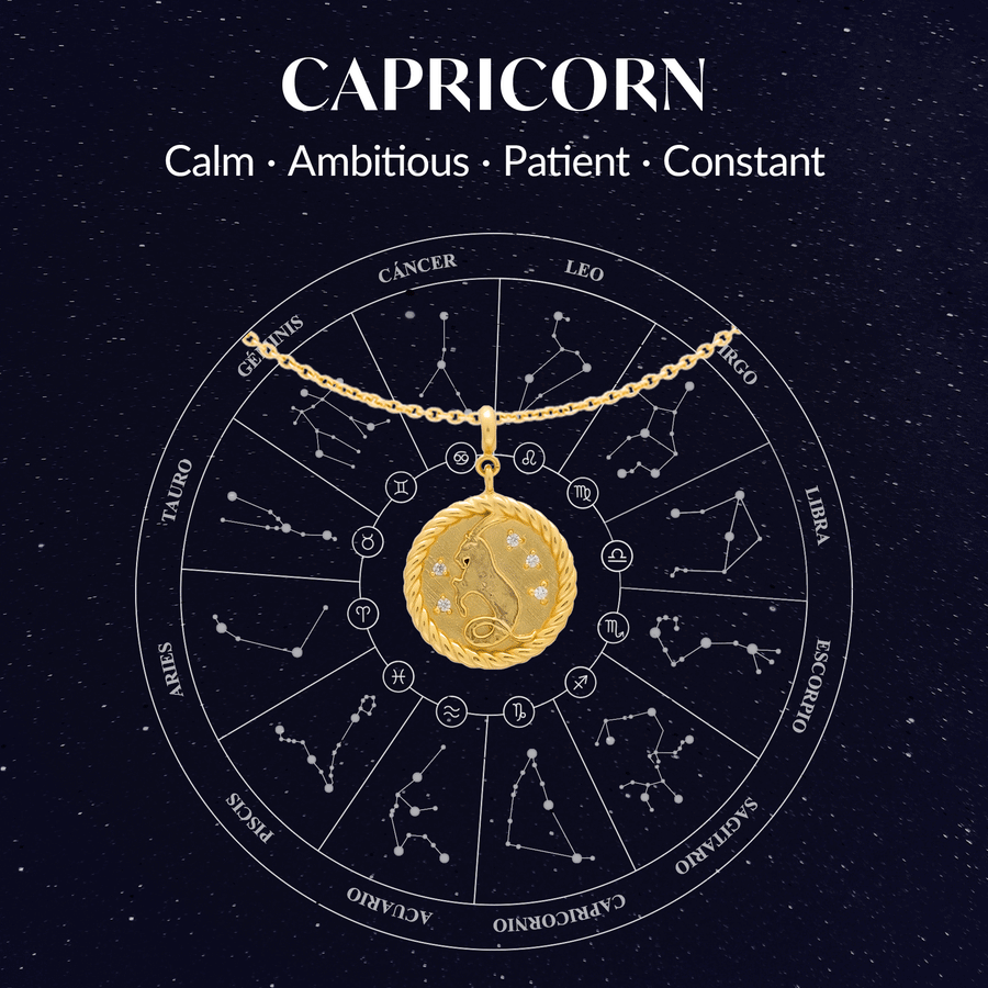 Rueda del zodiaco capricornio