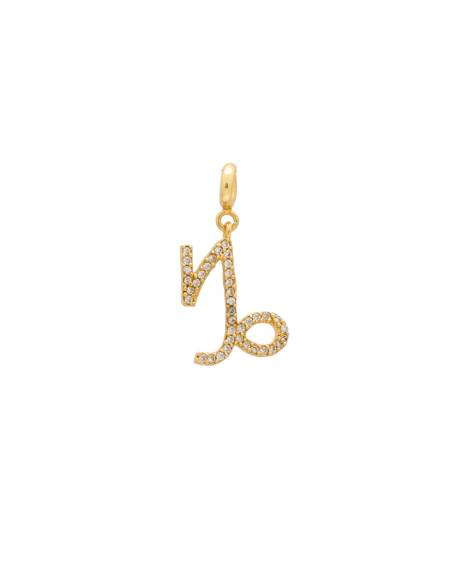 Charm Zodiaco Capricornio intercambiables dorados