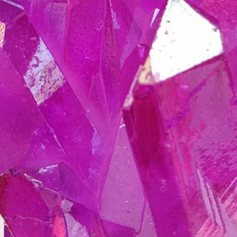 Textura de circonita fucsia de los pendientes de oreja entera de LAVANI