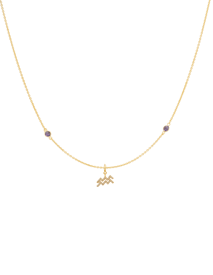 Colgante Zodiaco Acuario con charm de medalla dorada